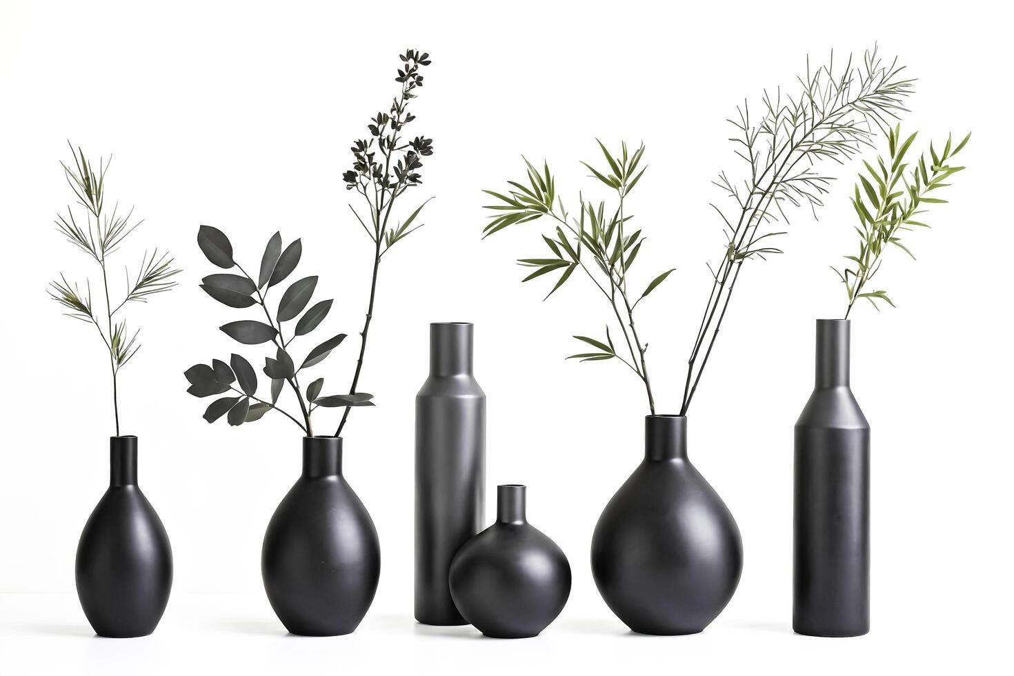 Black Vases with Green Plants on White Background photo