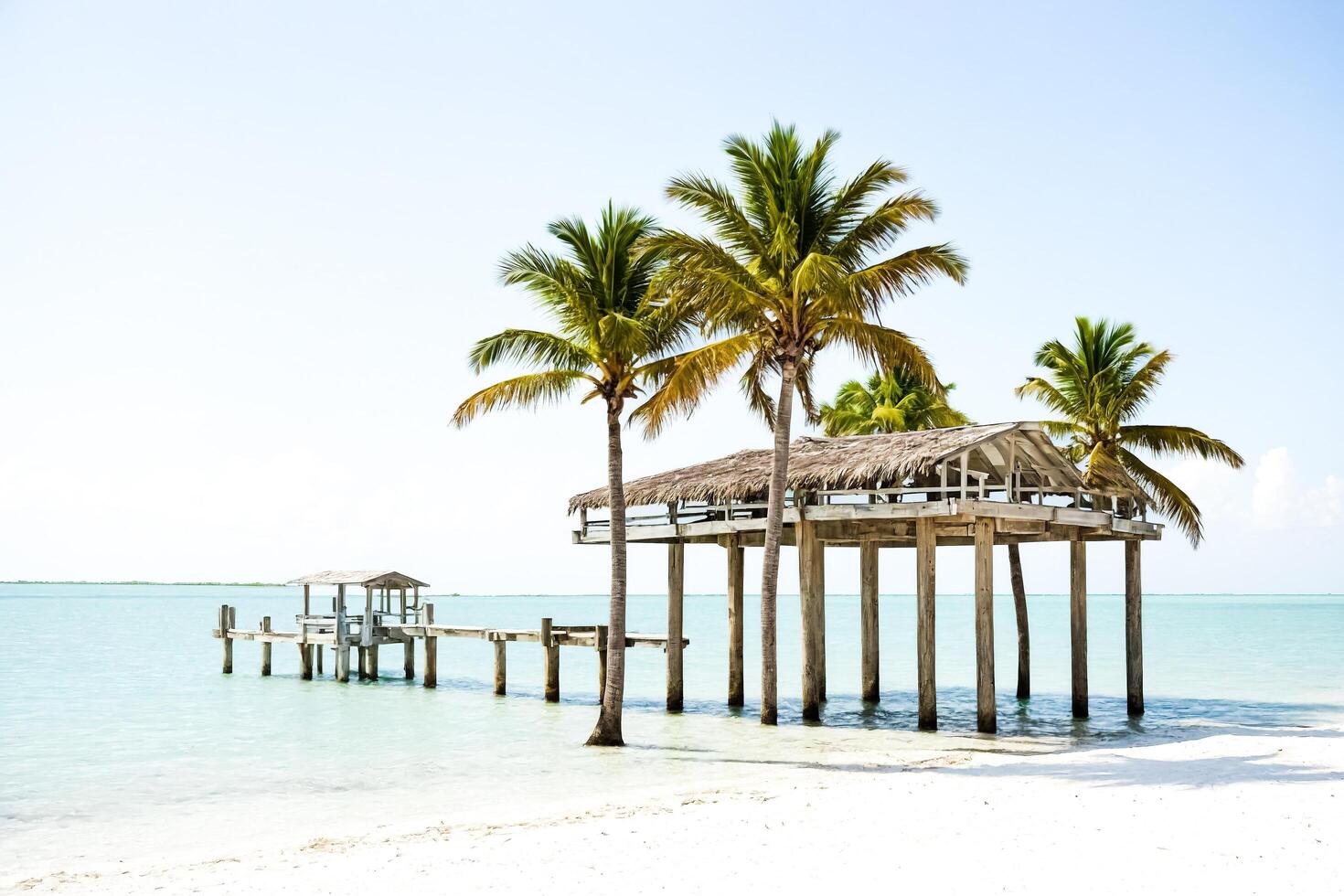 Palm Trees and a Wooden Hut on the Beach photo