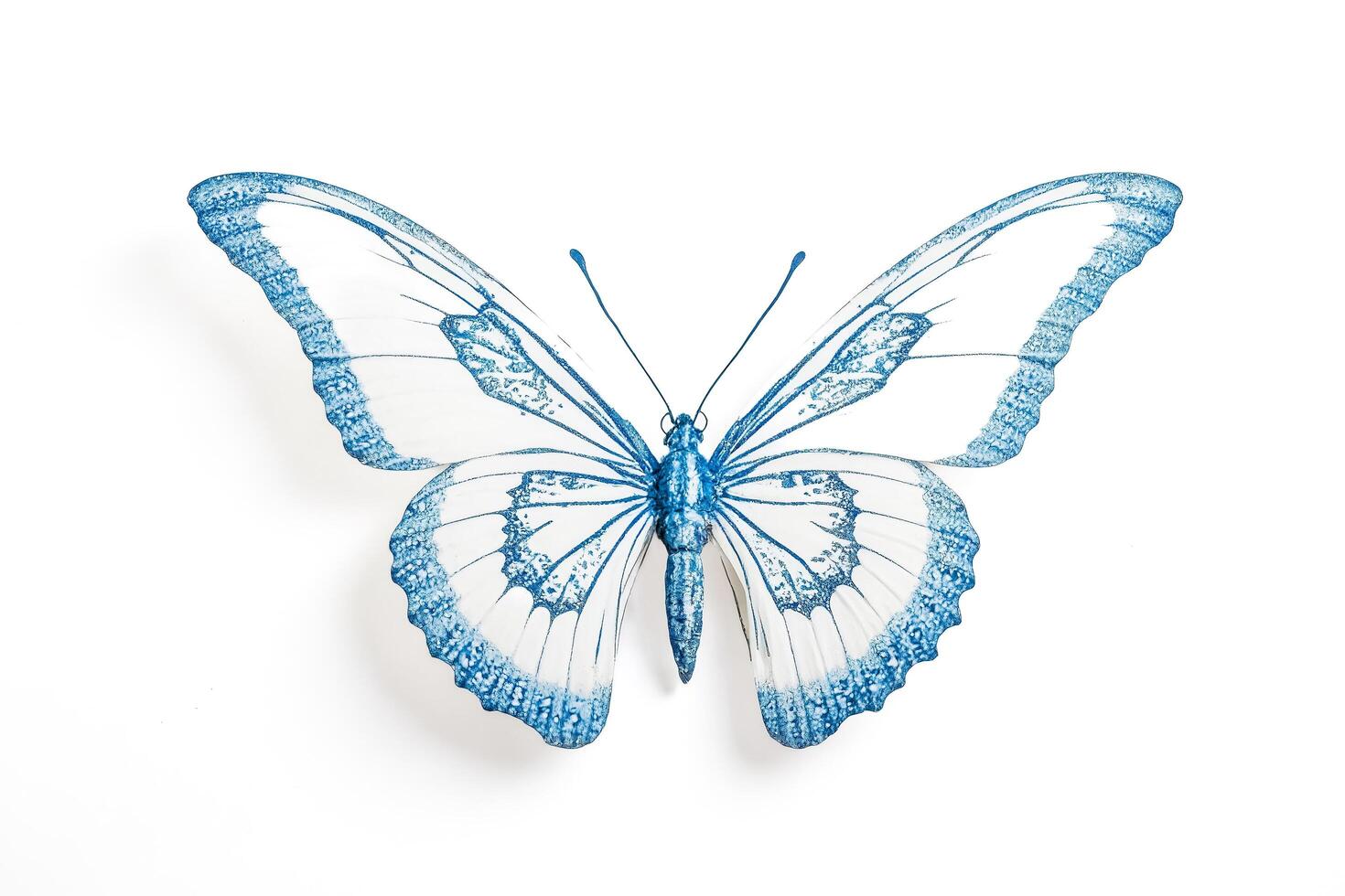 Blue Butterfly on White Background photo