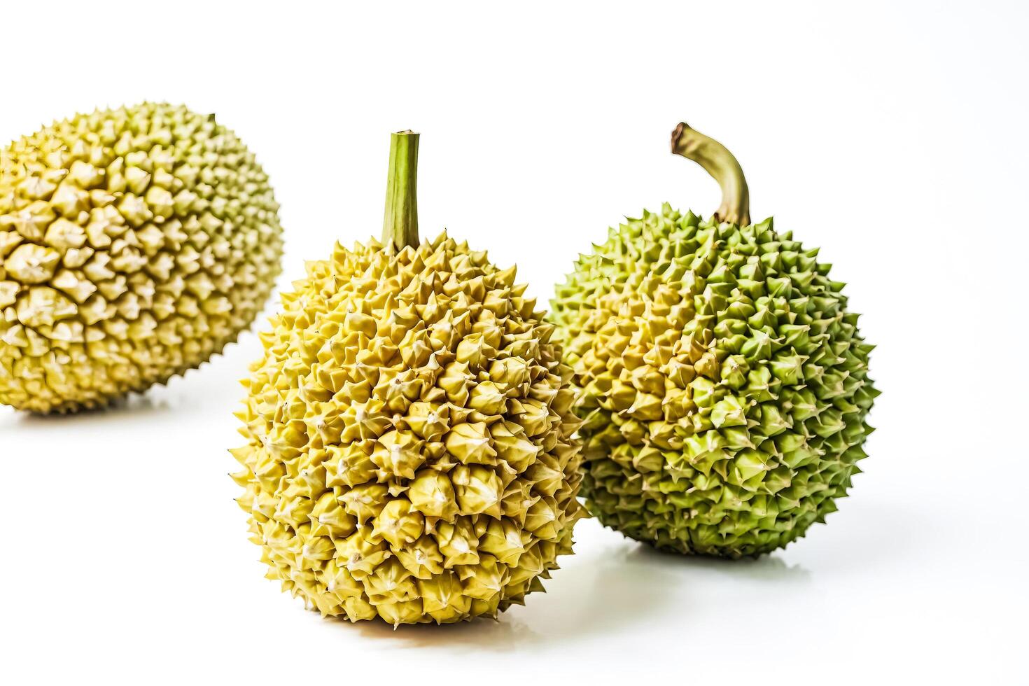 Closeup of Durian Fruits with Spiky Shells on White Background photo