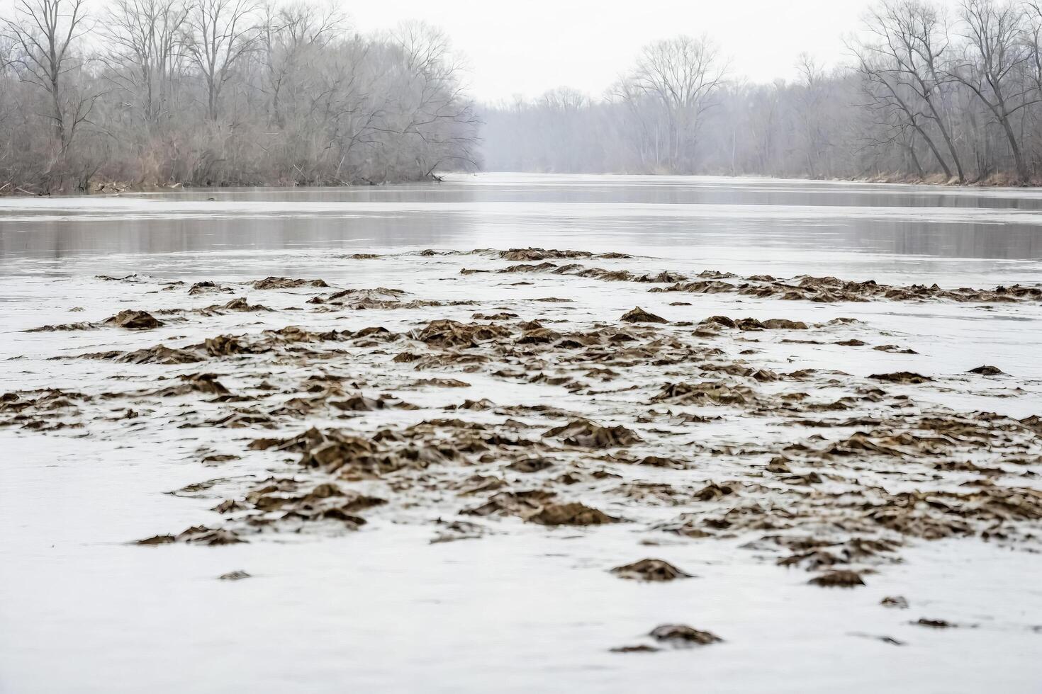 Frozen River With Muddy Bottom photo