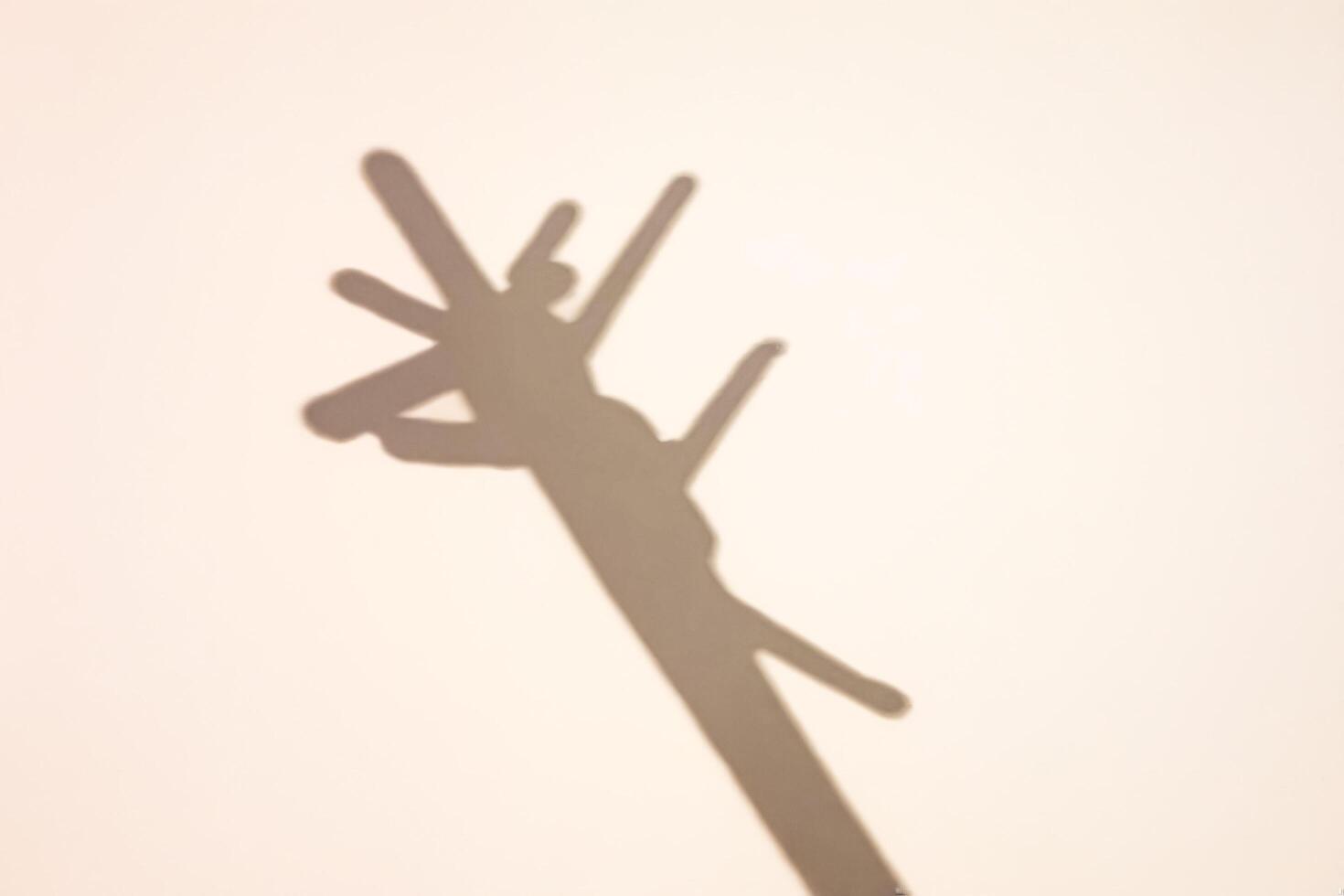 Abstract Shadow of a Coat Rack on a White Wall photo