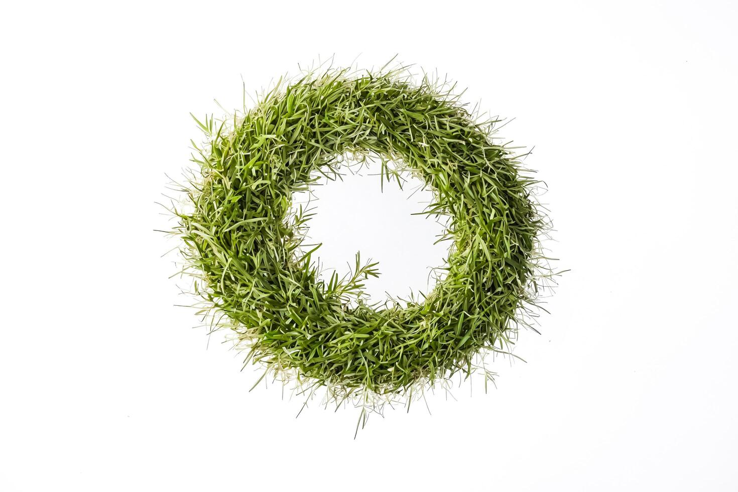 Green Grass Circle on White Background photo