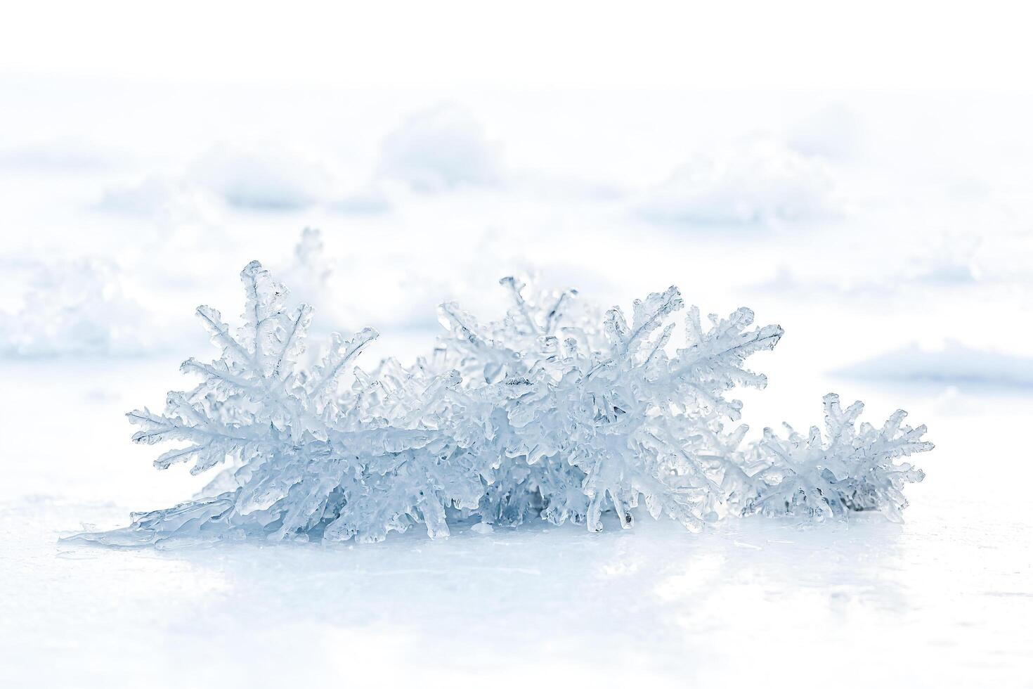 Frozen Ice Crystals on a Snowy Surface photo