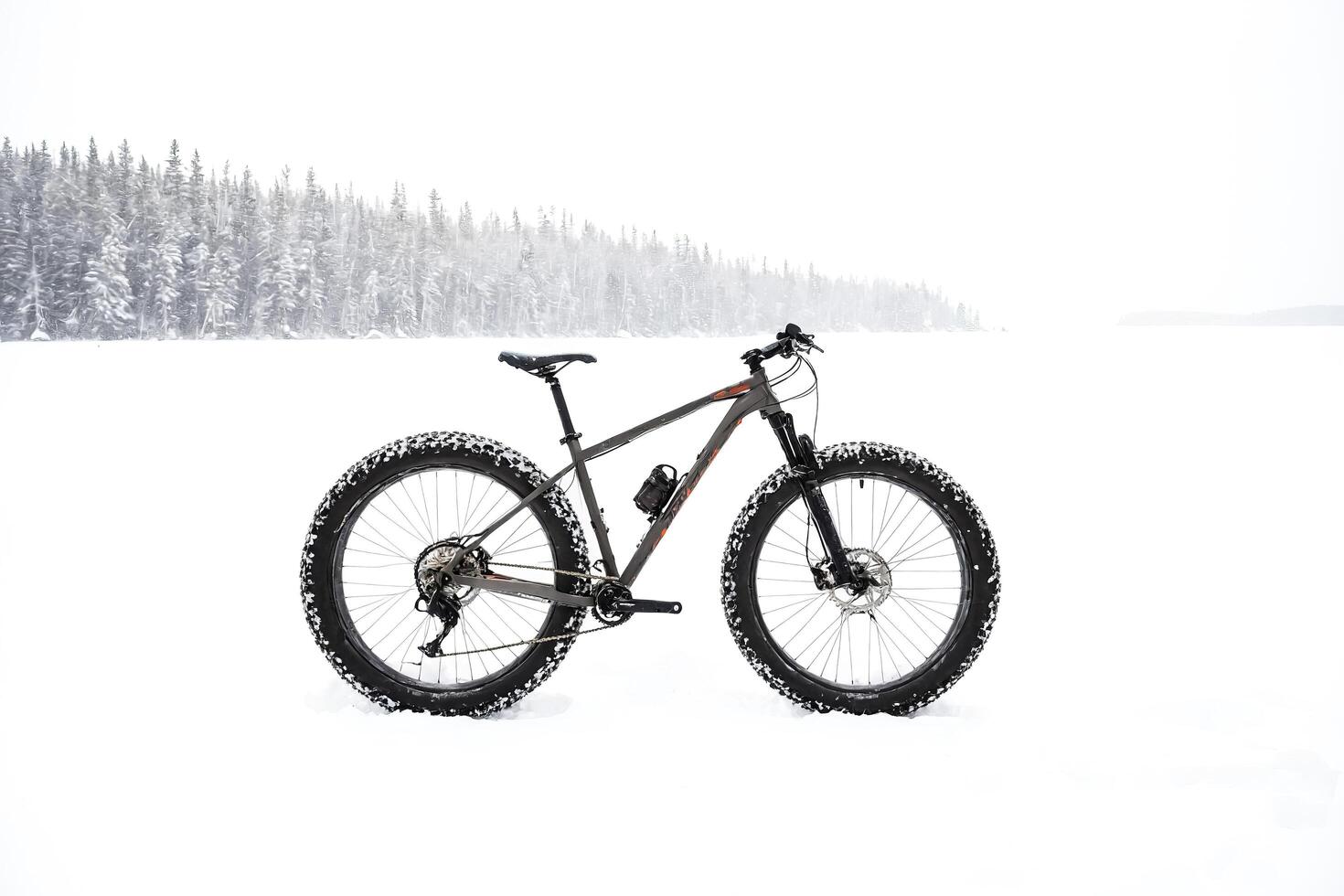 Fat tire bike in snowy landscape photo