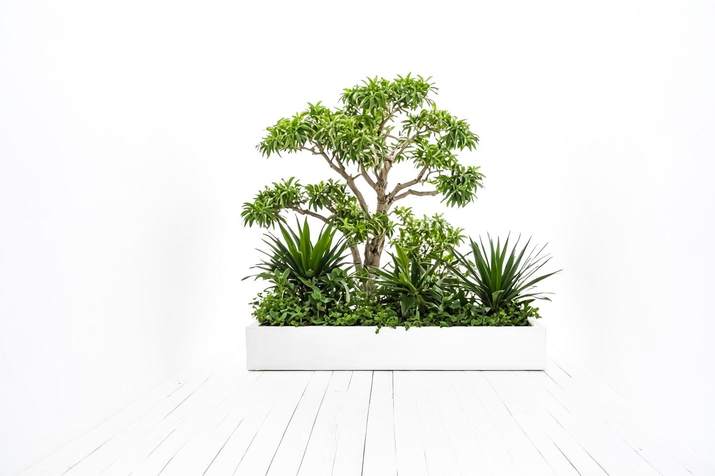 Lush Green Plants in a White Pot on a White Wooden Floor photo