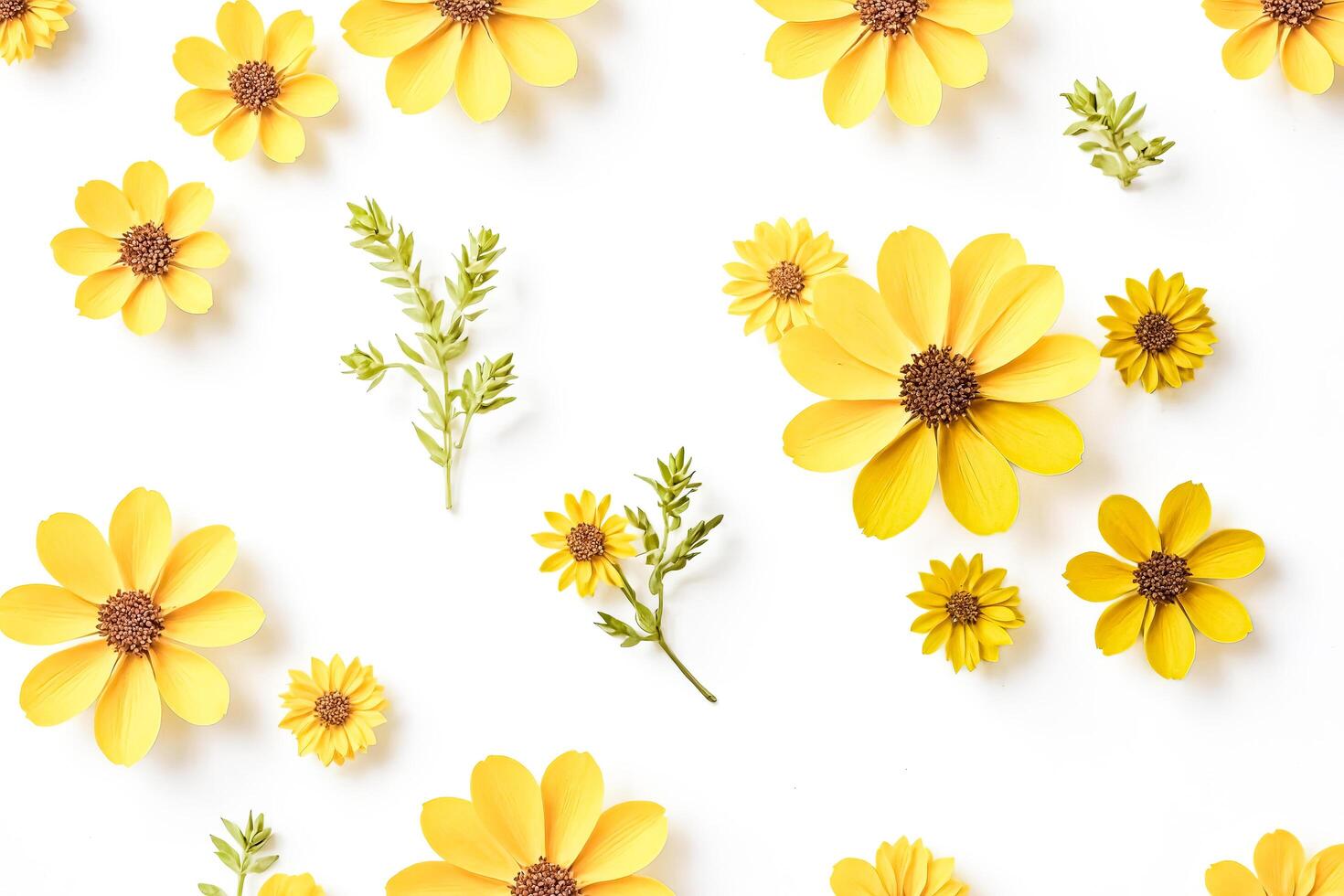 Yellow Flowers on White Background photo