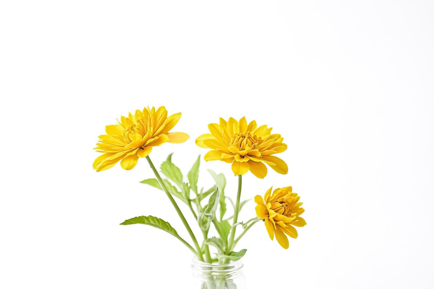 Yellow Flowers in a Vase photo