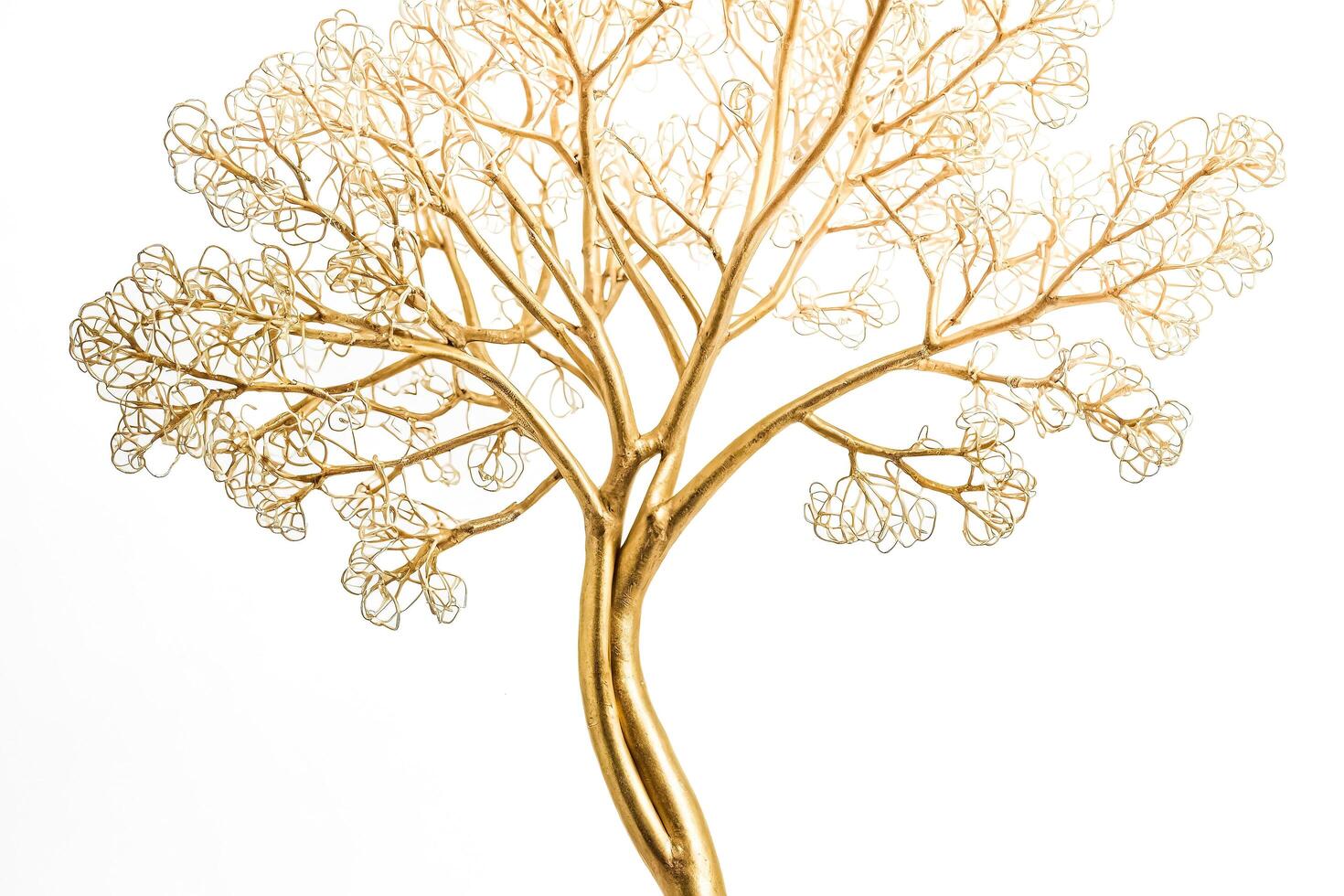 Golden Tree Branch Abstract photo