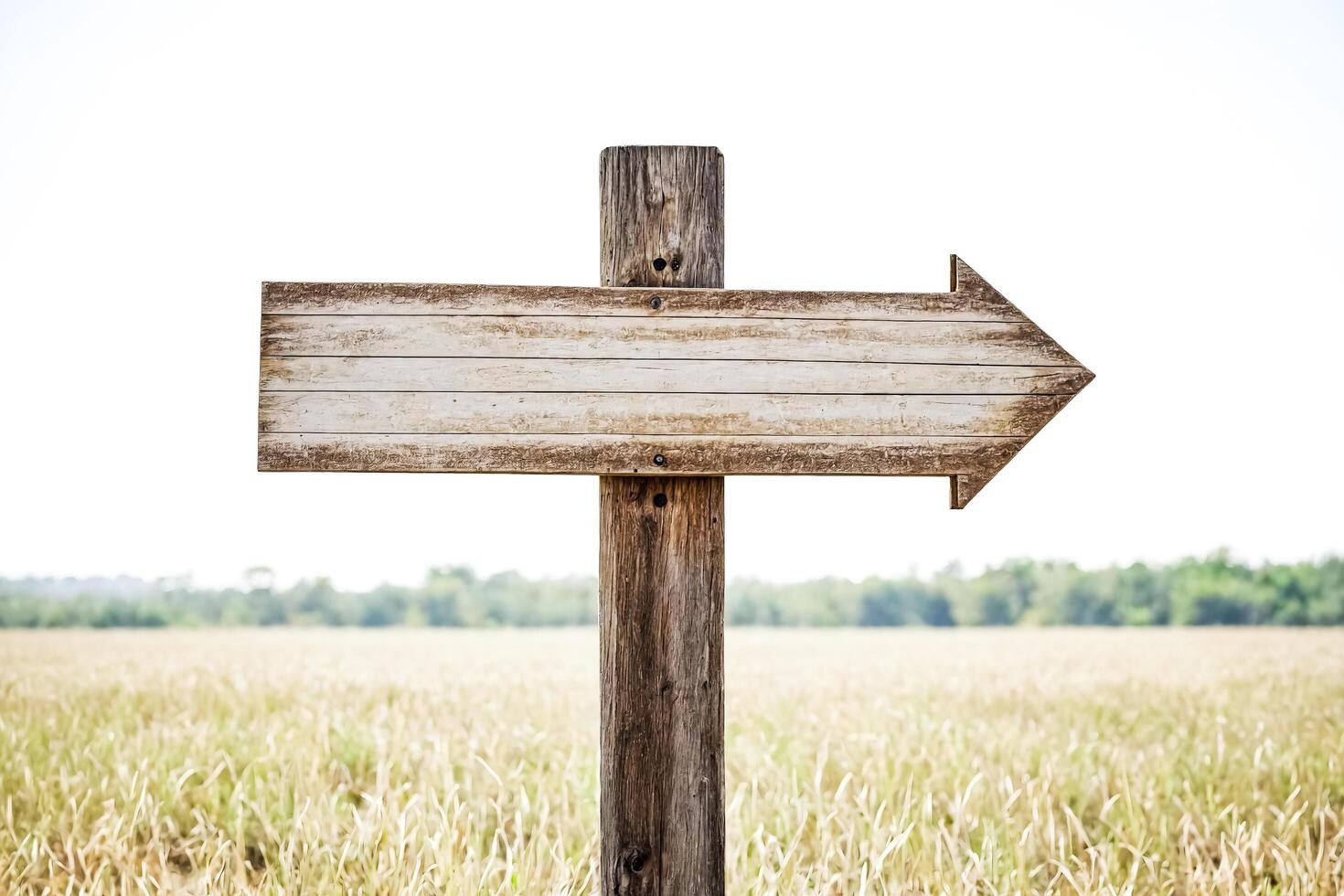 Wooden arrow sign in field photo