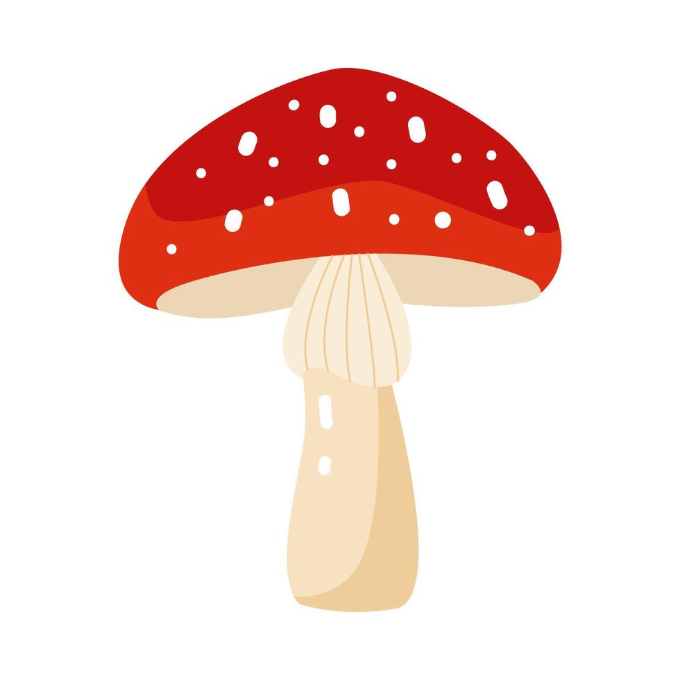 fly agaric mushroom on white background vector