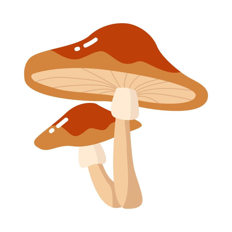 mushroom isolated on white vector