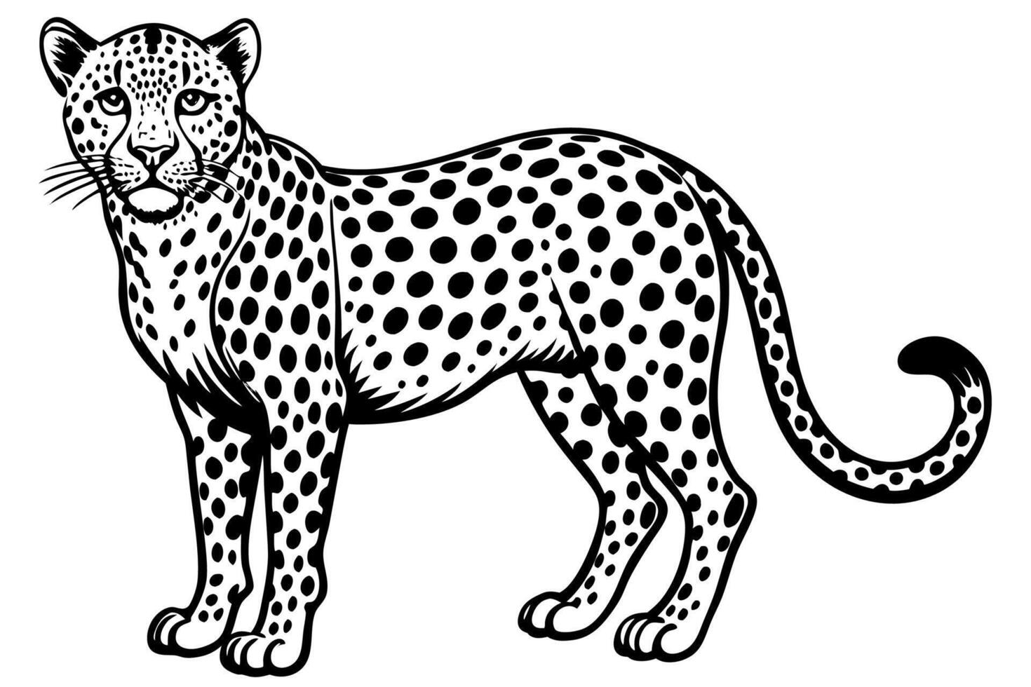 Funny Cheetah Illustration, Cartoon Clipart, and Line Art Design on White Background, Funny cheetah illustration, cartoon clipart, and line art design on white background. vector