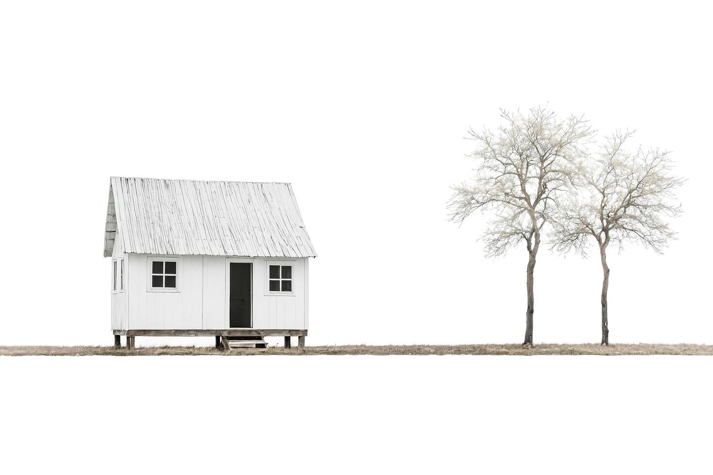 White Cottage With Bare Trees photo