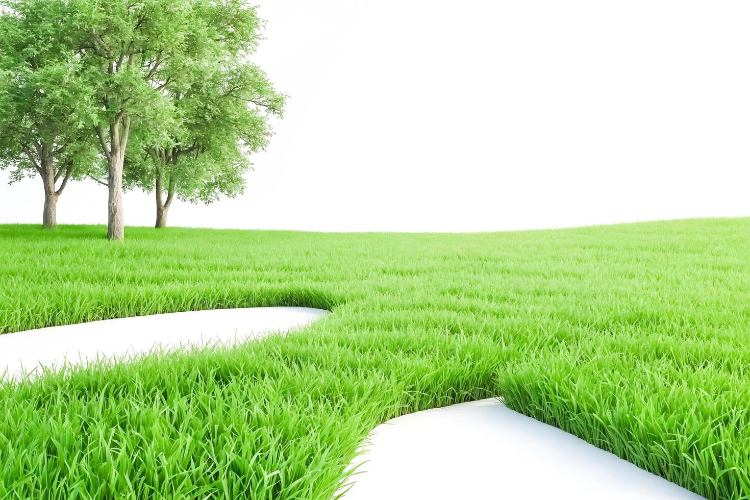 Lush Green Grass with White Path photo