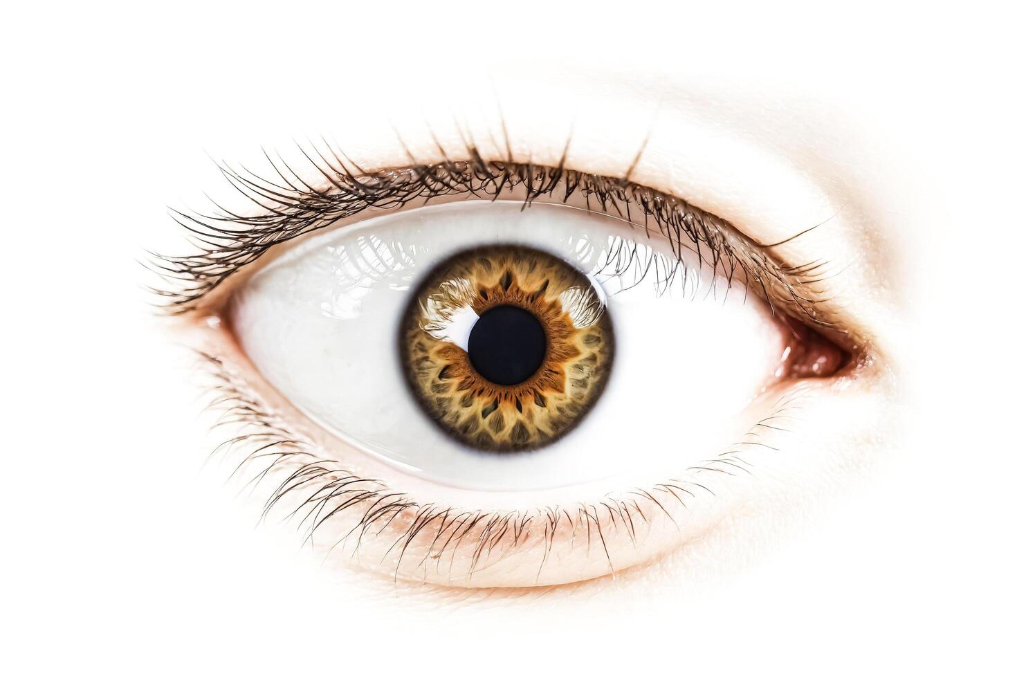 Close-up of a brown eye with intricate details photo