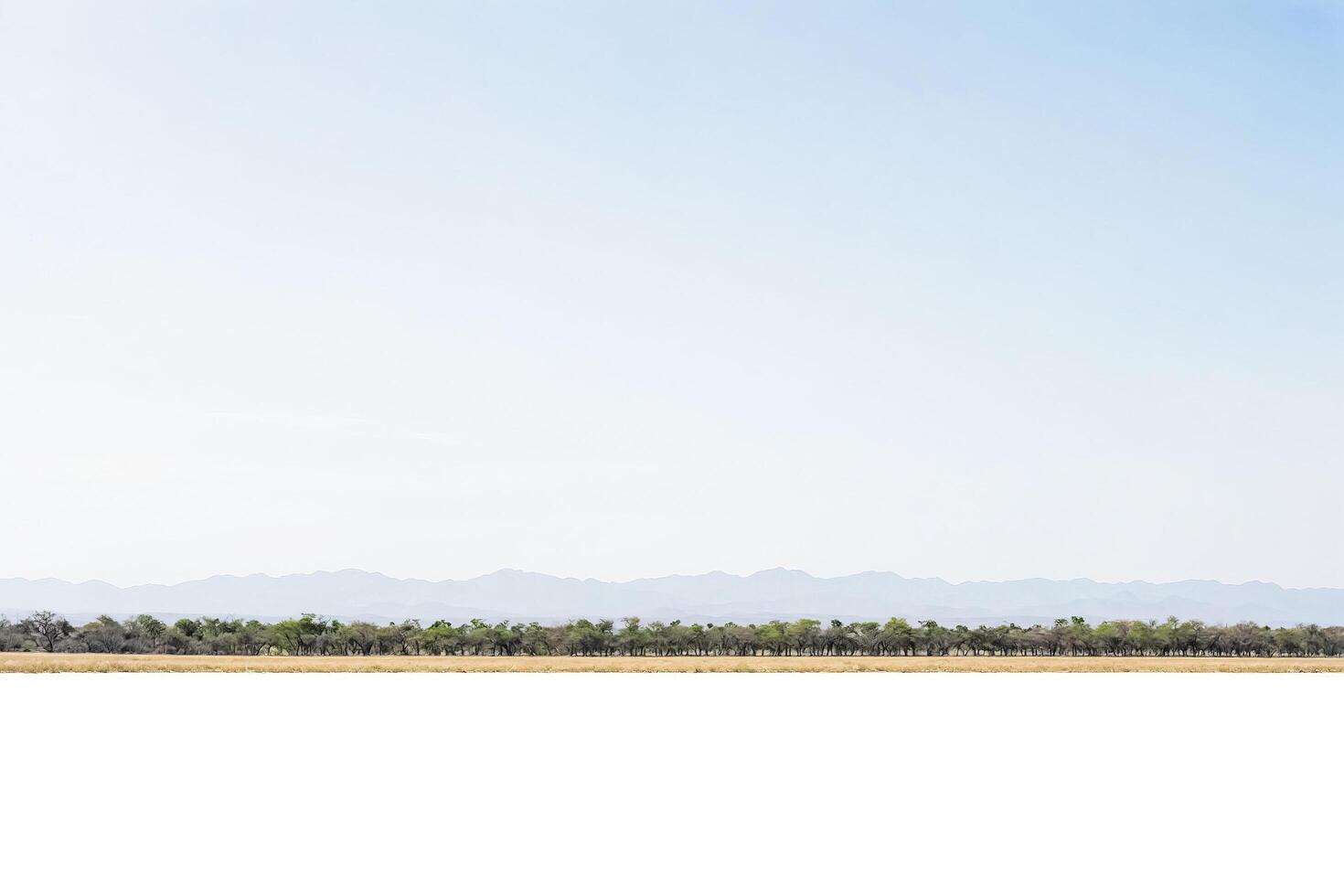 Minimalist Landscape with Trees and Mountains photo