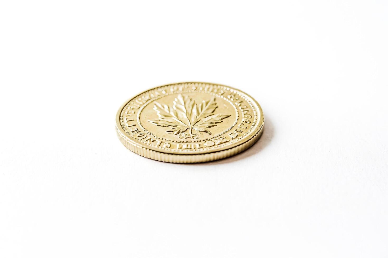 Closeup of a Canadian One Dollar Coin photo