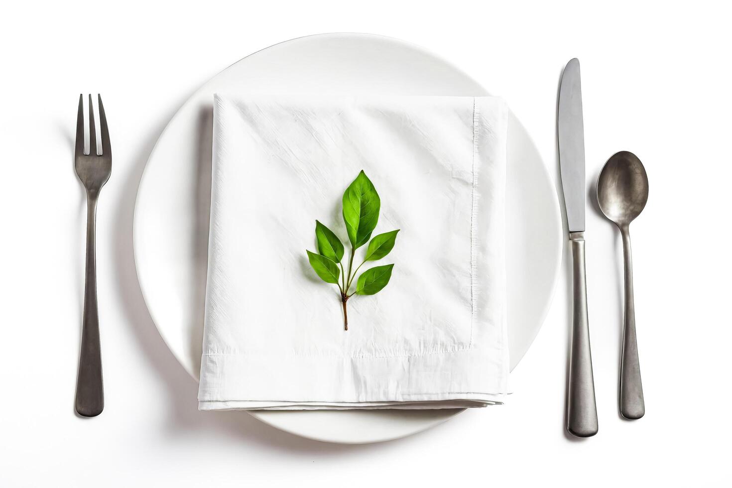 Minimalist Table Setting with Green Leaf photo