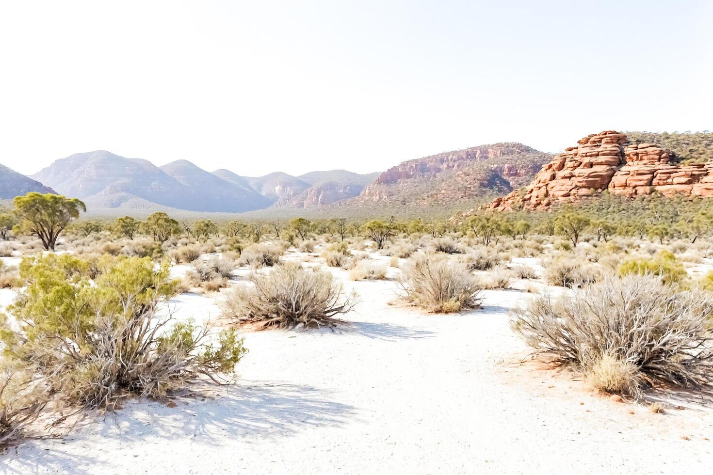 Australian Outback Landscape with Red Rocks and White Sand photo