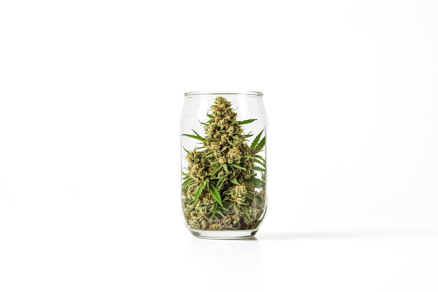 Cannabis Bud In Glass Jar photo