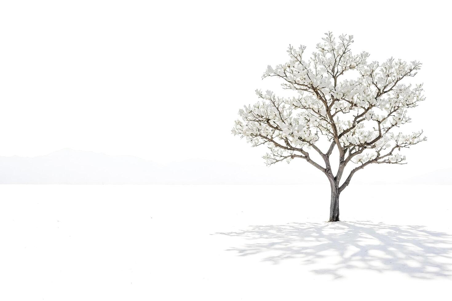 Lone Tree in Snow photo