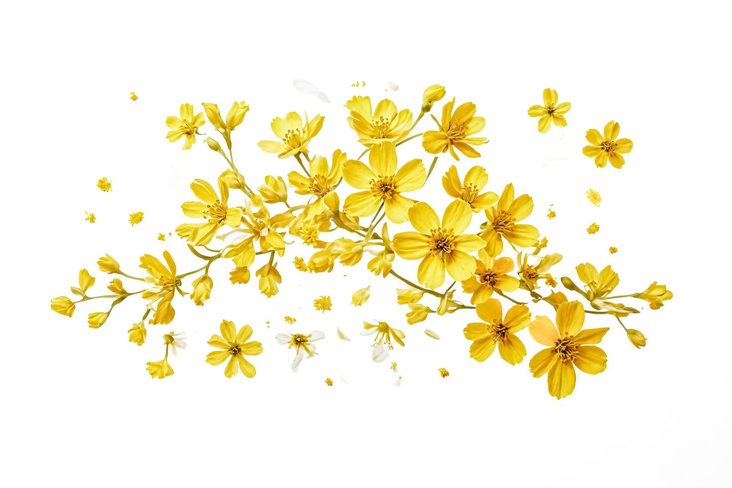 Yellow Flower Branch with Delicate Petals photo