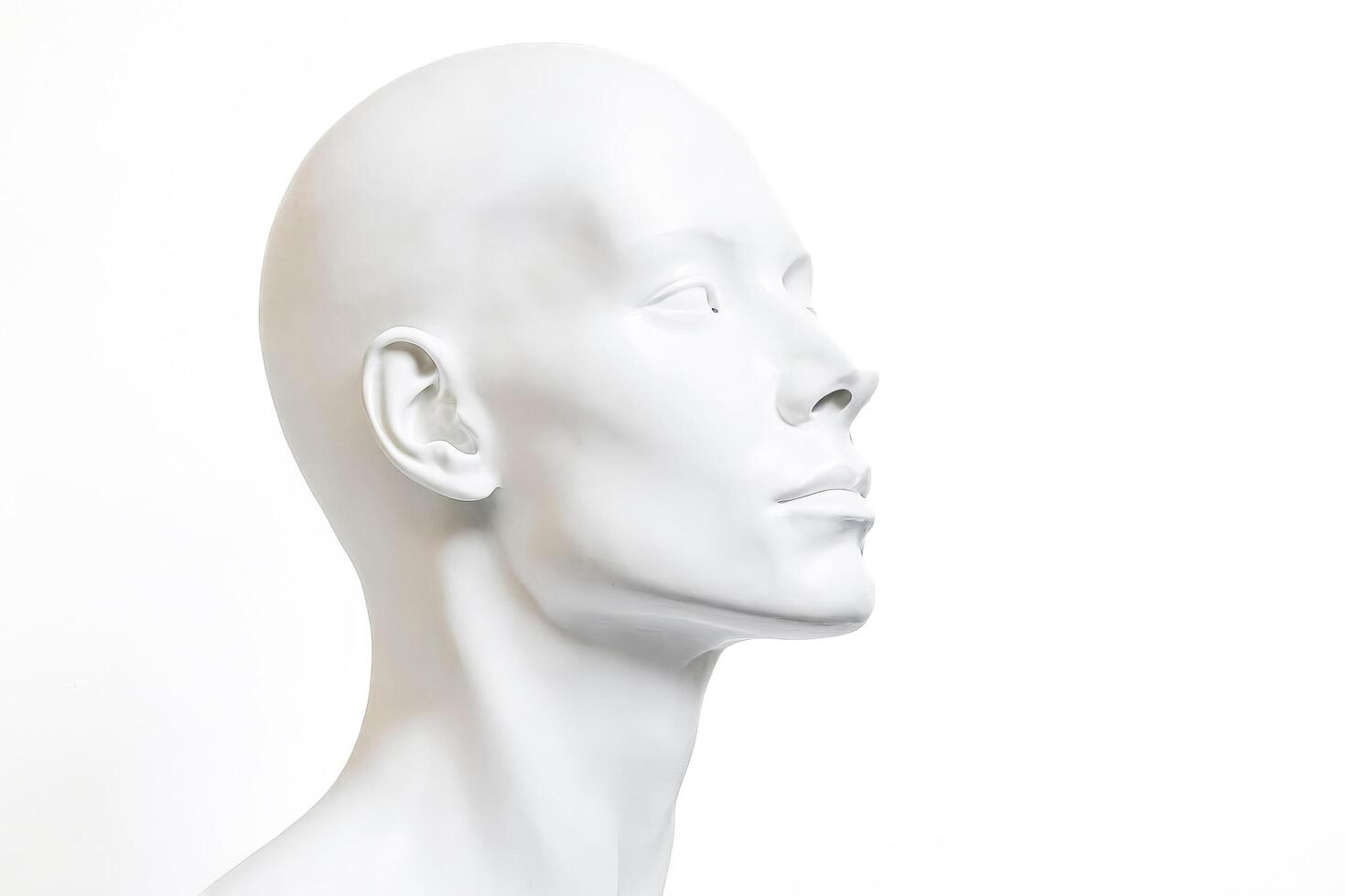 White Mannequin Head Profile photo