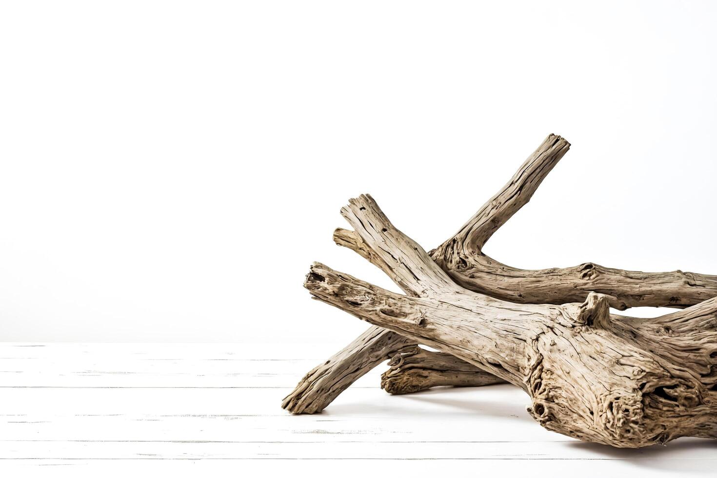 Driftwood On White Wooden Plank photo