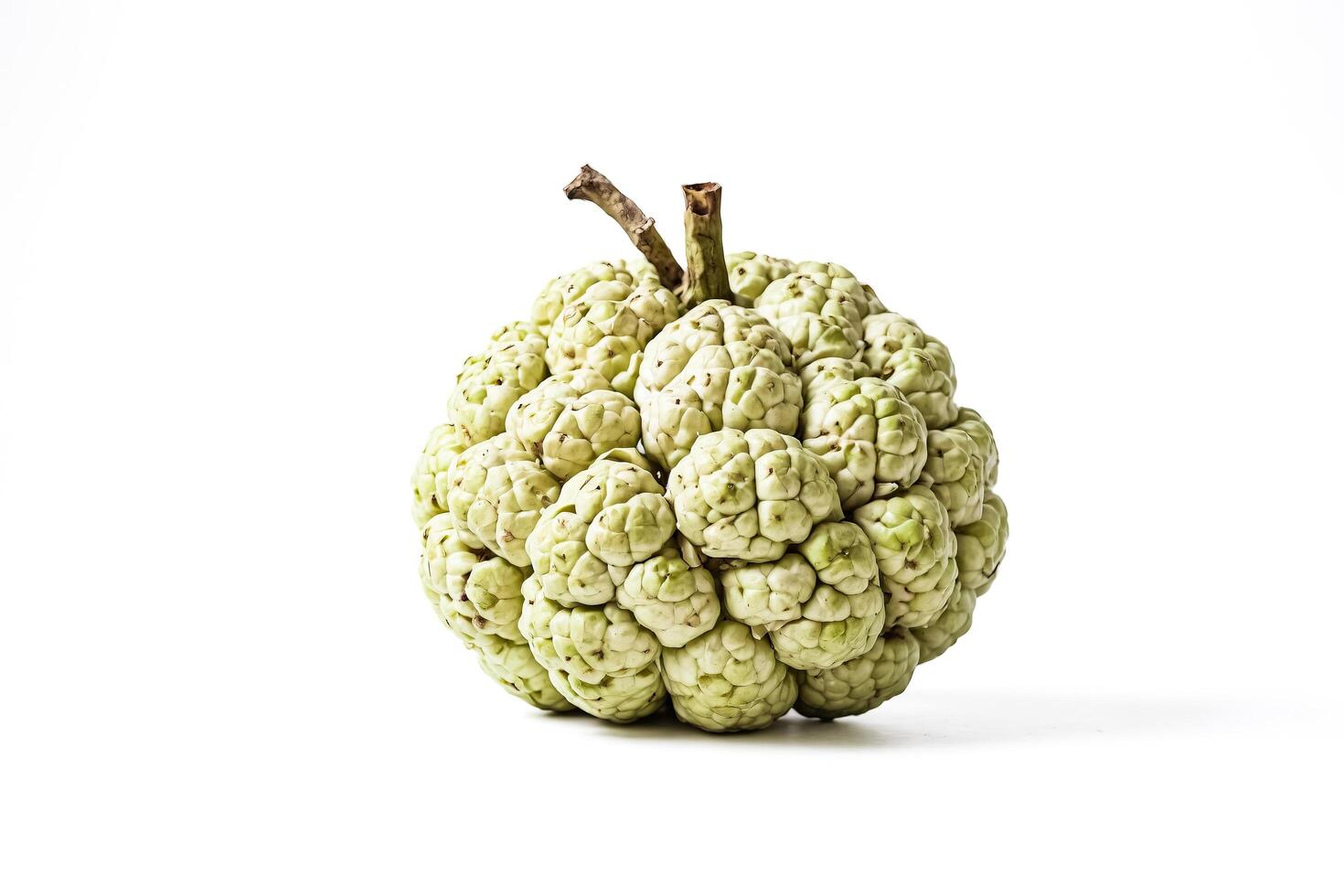 Close-up of a Green Noni Fruit Isolated on White Background photo