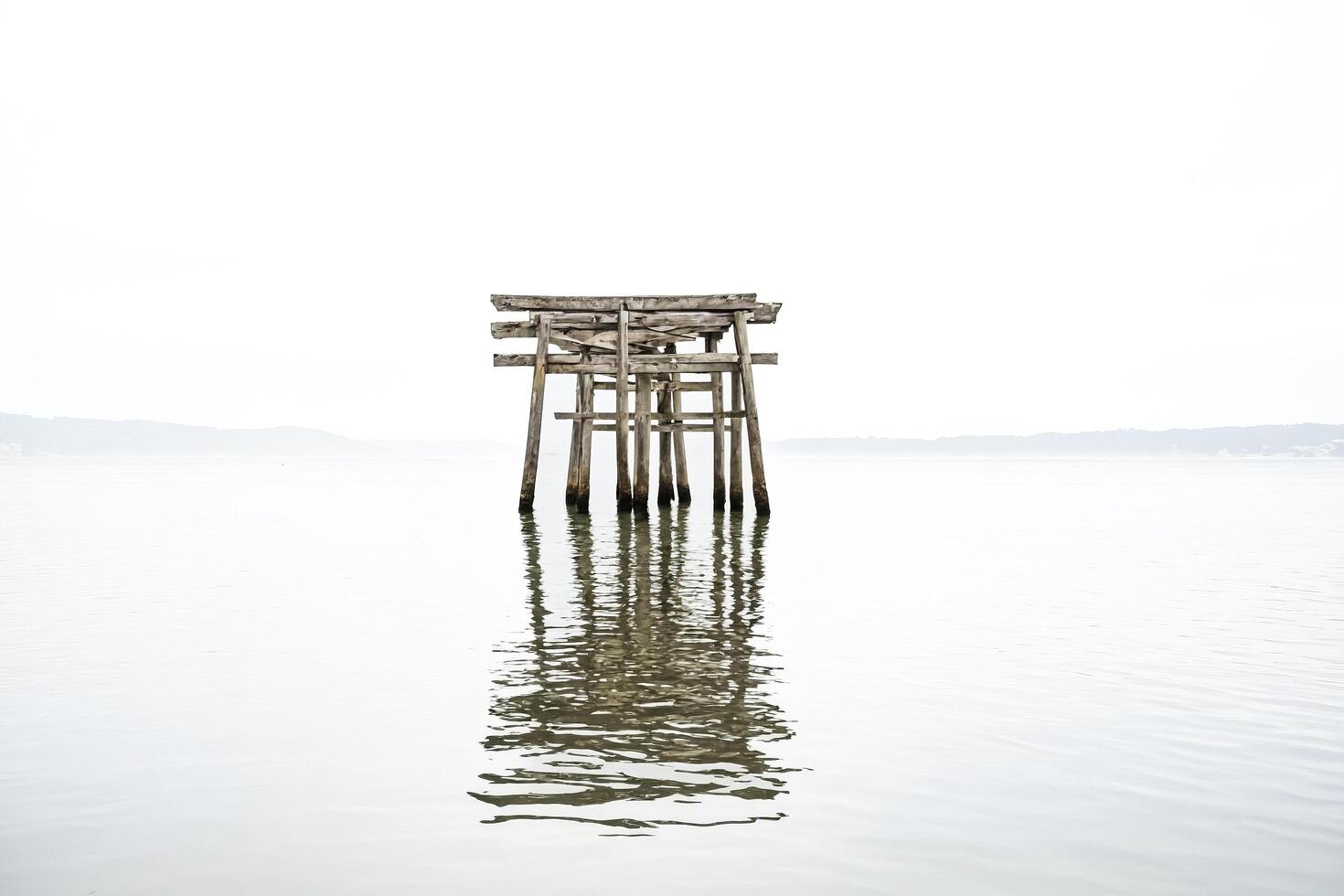 Japanese Torii Gate in a Still Lake photo