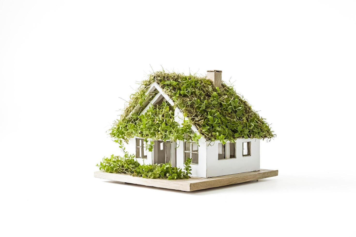 Miniature house with green roof photo
