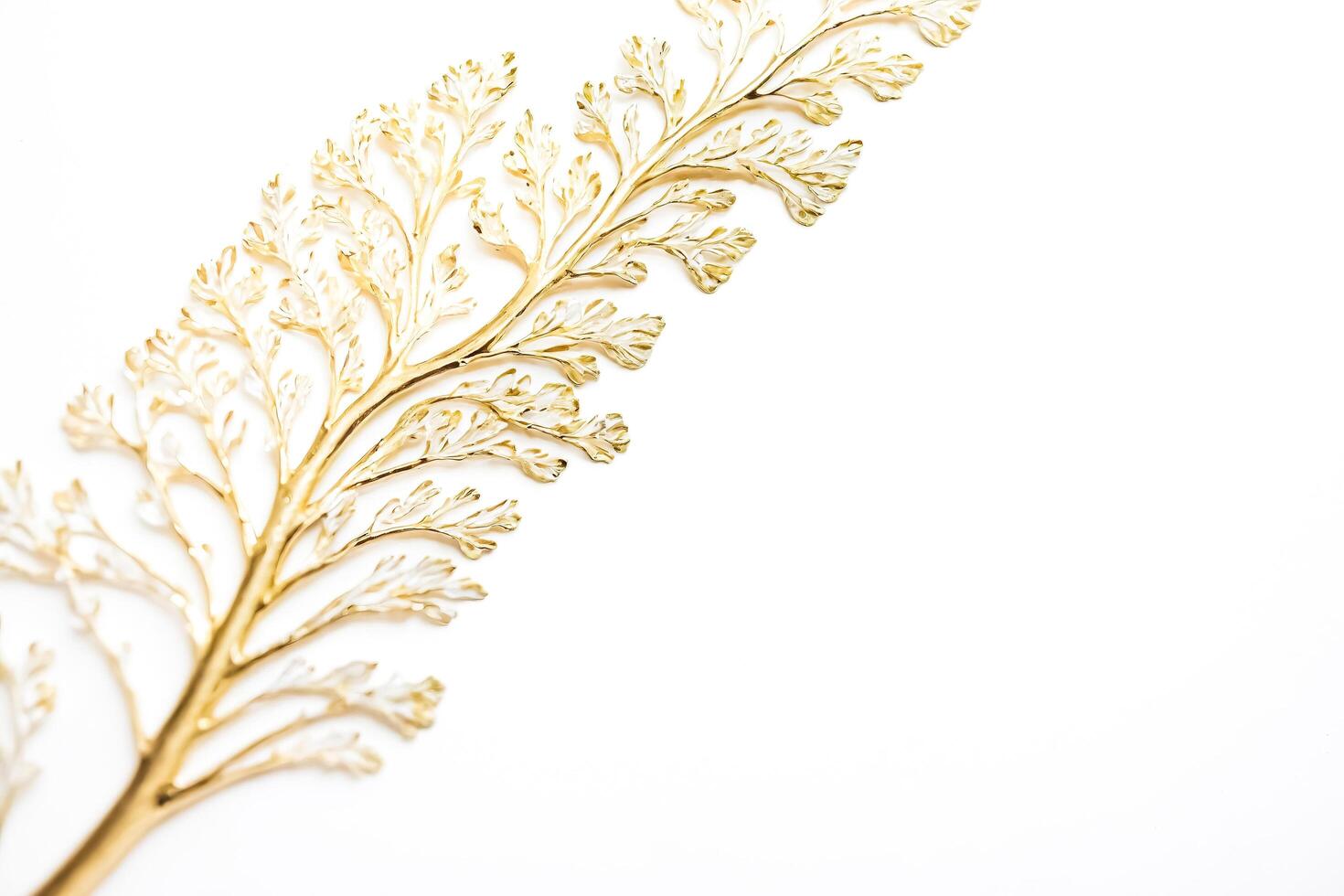 Golden Leaf Branch on White Background photo
