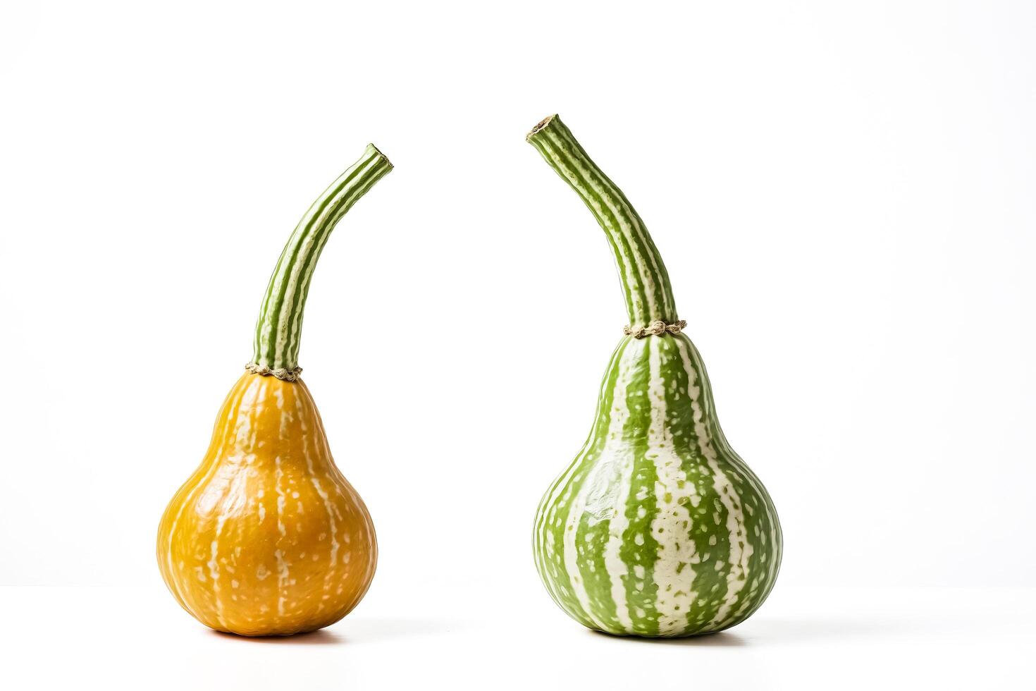 Two striped gourds with different colors on a white background photo