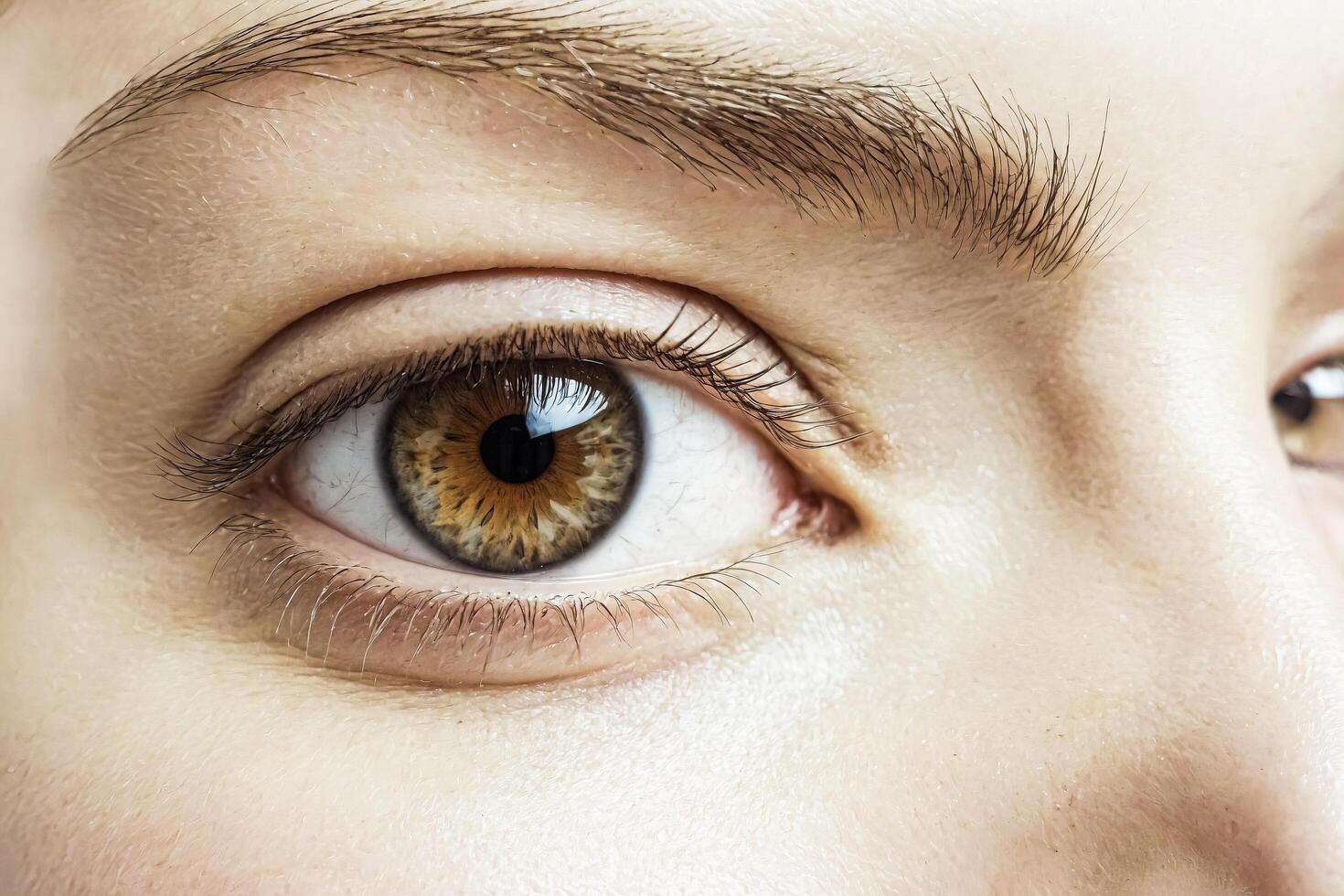 Close-up of a Human Eye photo