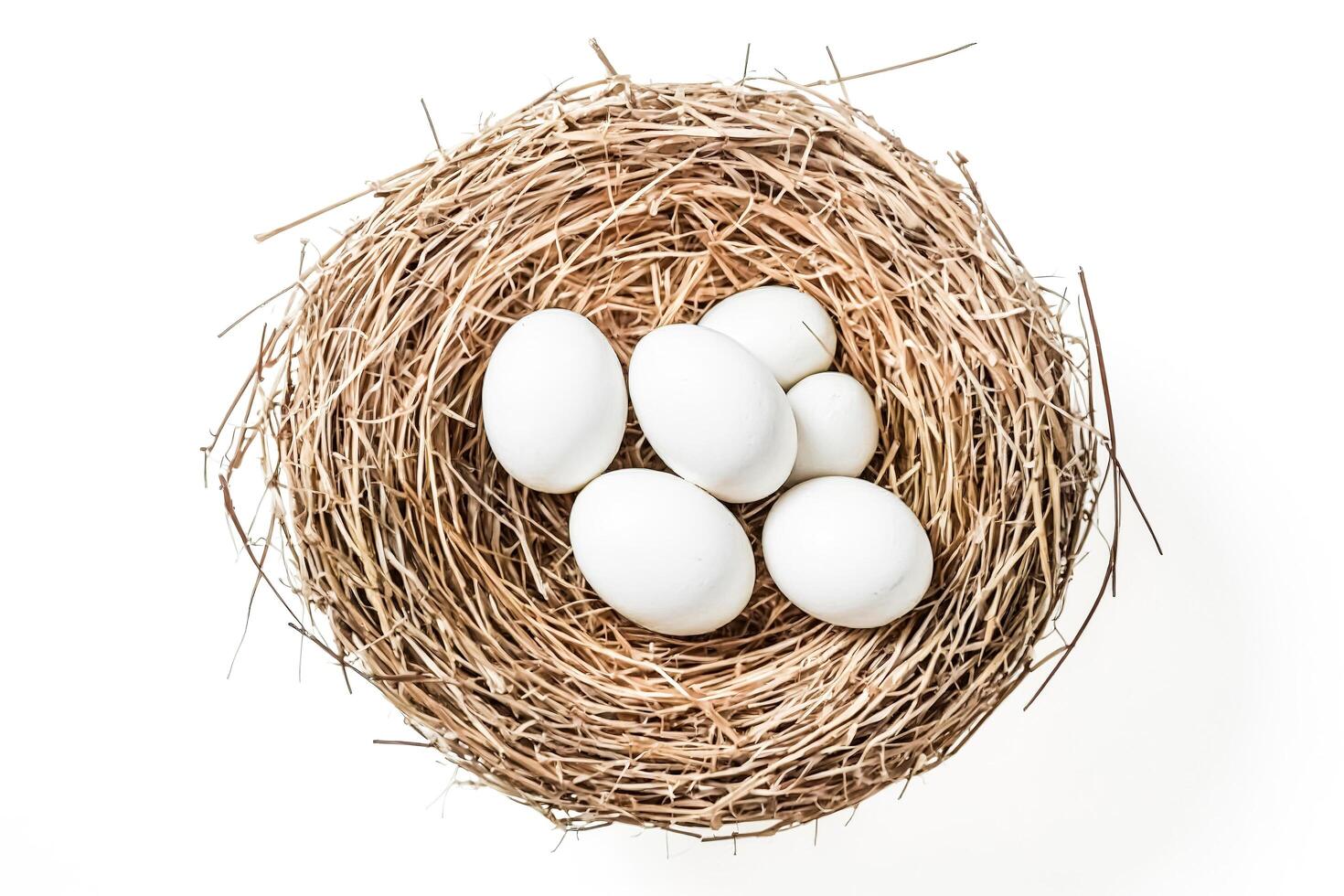 White Eggs in a Bird Nest photo