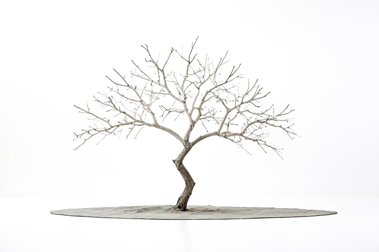 Bare Tree Branch with Grey Base photo