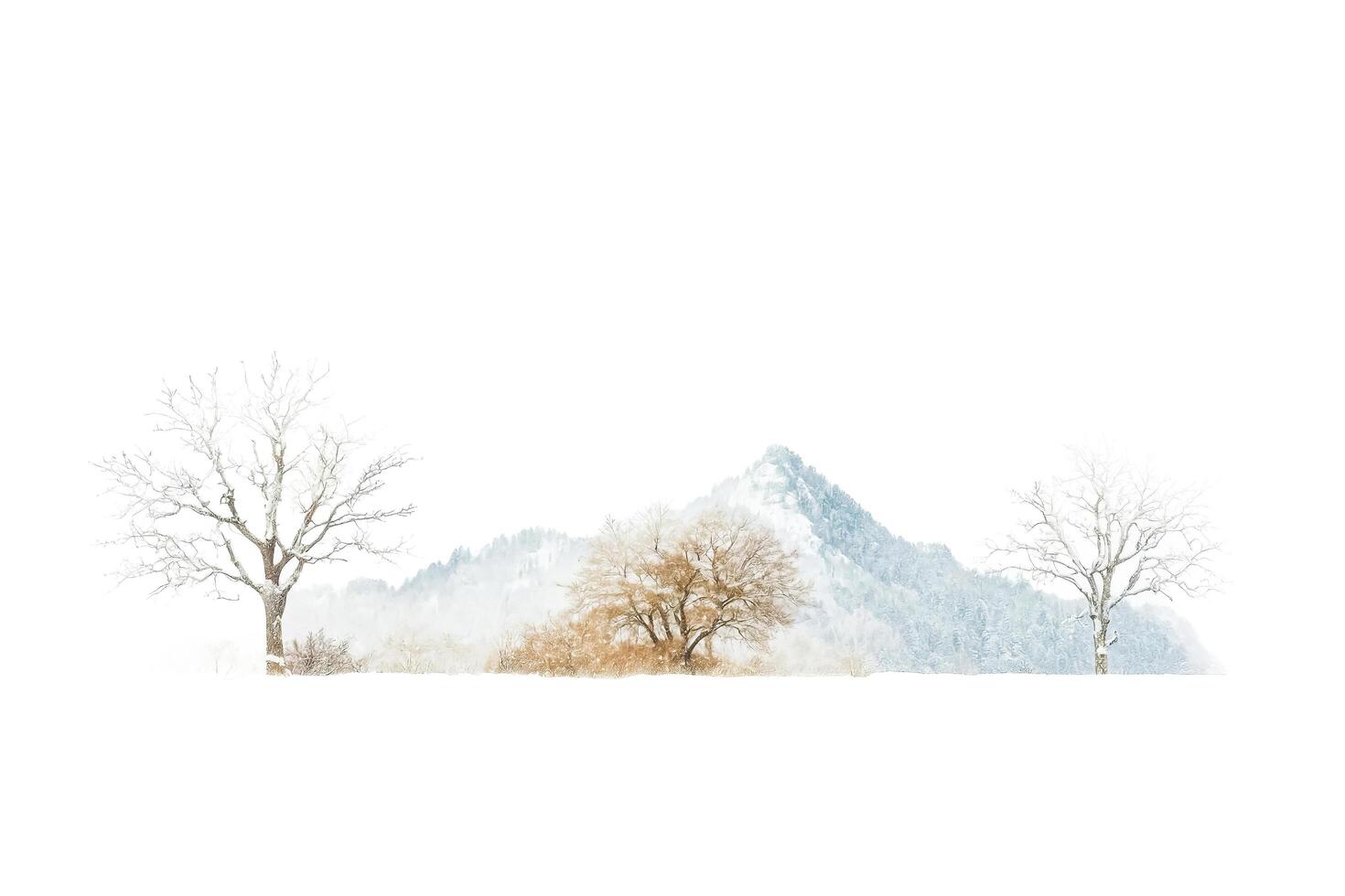Winter landscape with snow-covered trees and a mountain in the background photo