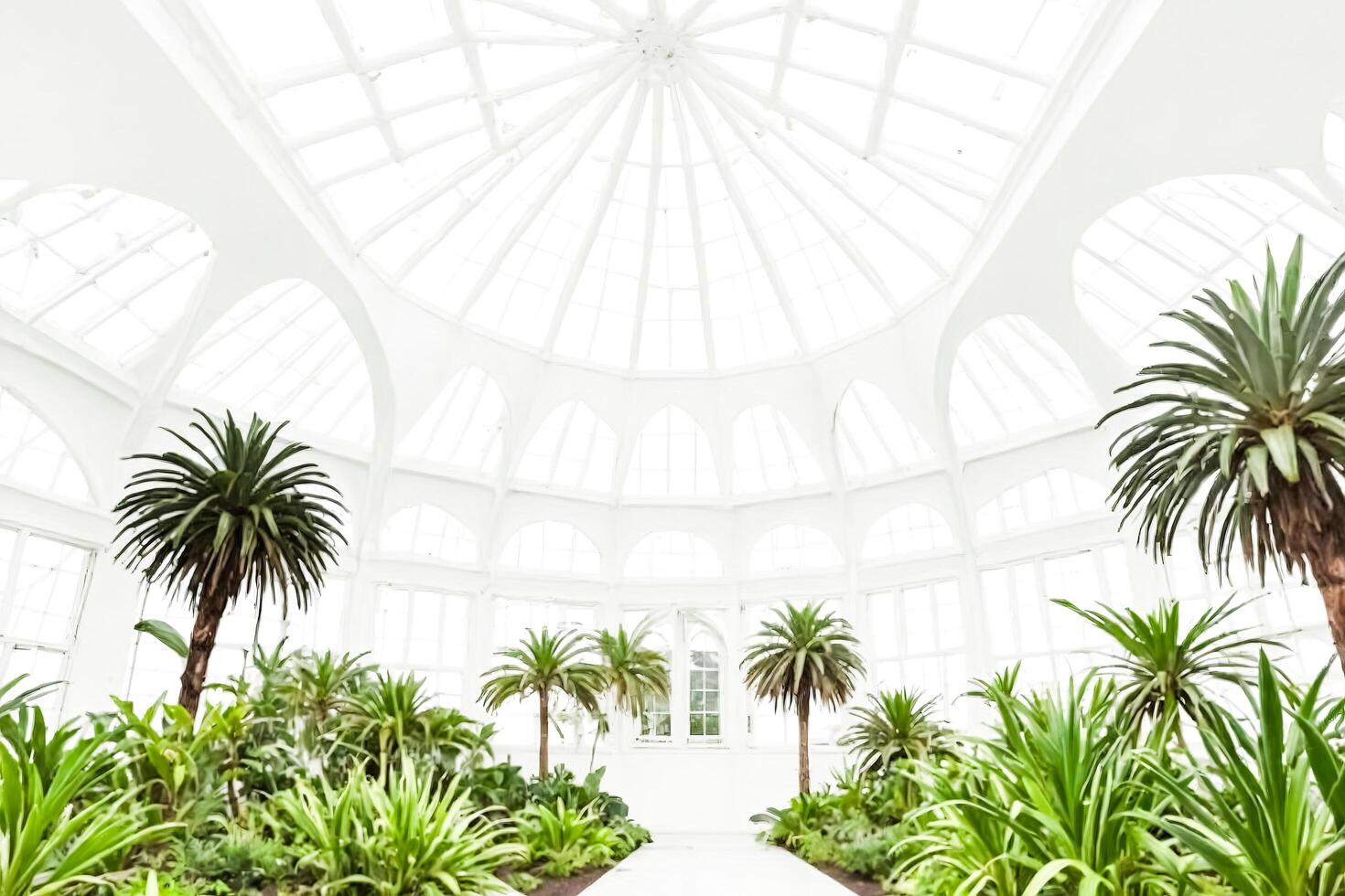 White Greenhouse with Green Plants photo