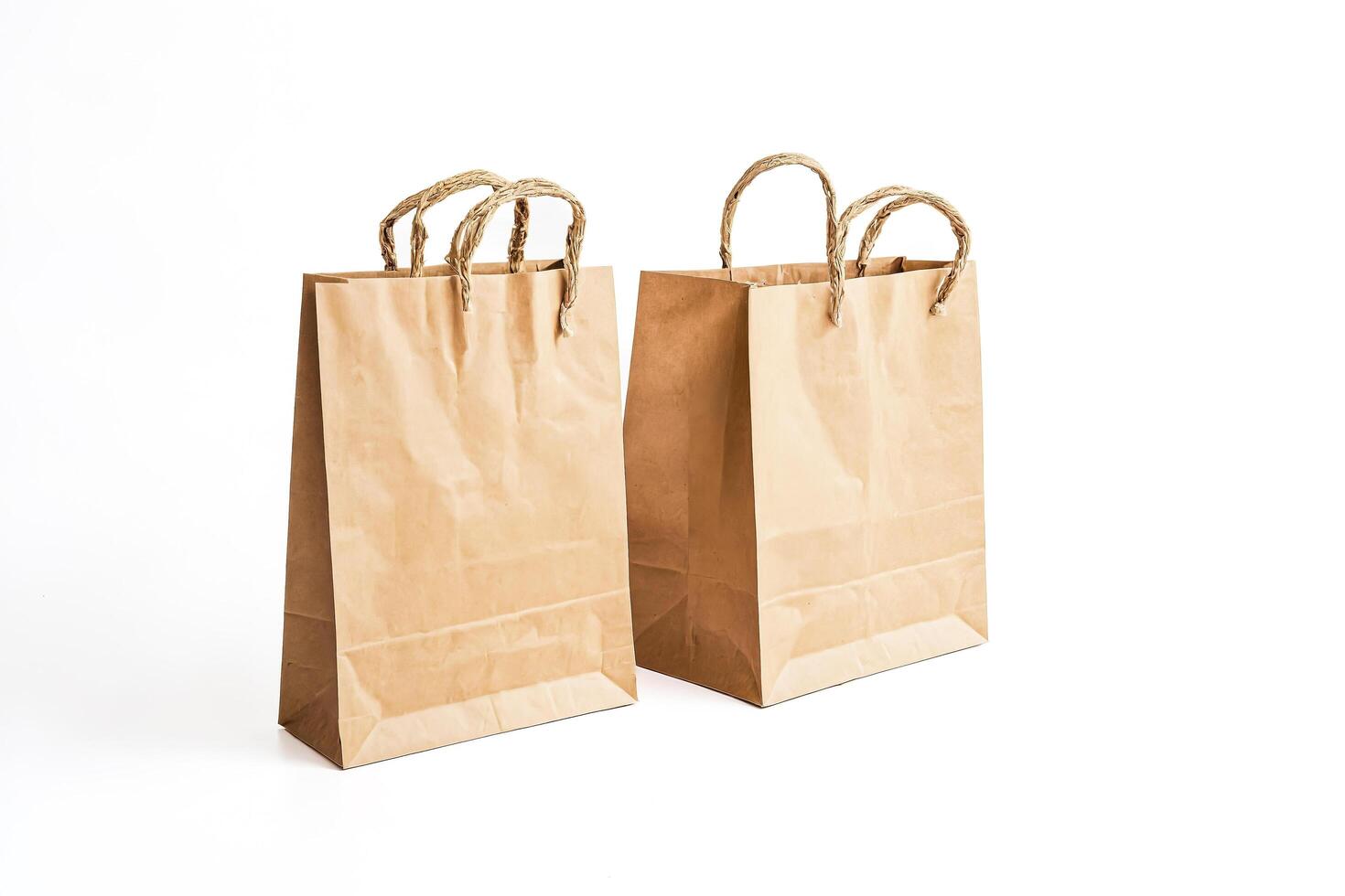 Two Brown Paper Bags with Twisted Paper Handles photo