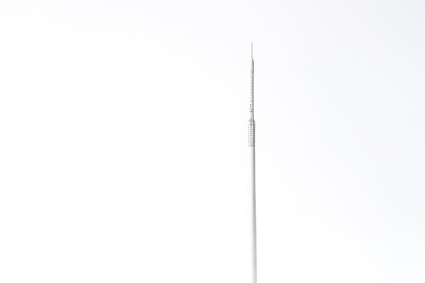 Single Needle On White Background photo