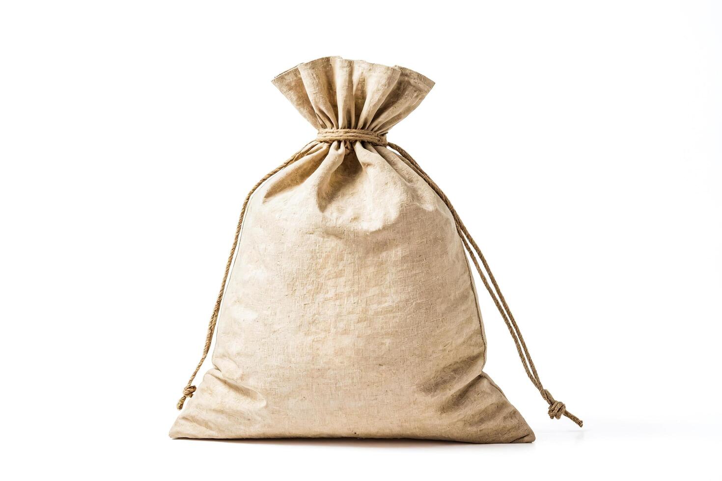 Canvas Money Bag with Dollar Sign photo