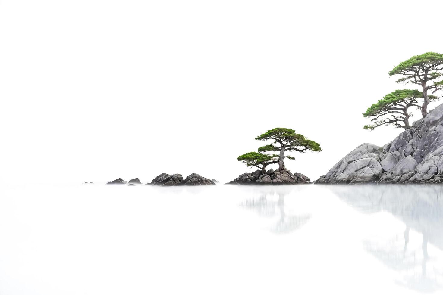 Solitary Trees on Rocky Islands in a Misty Sea photo