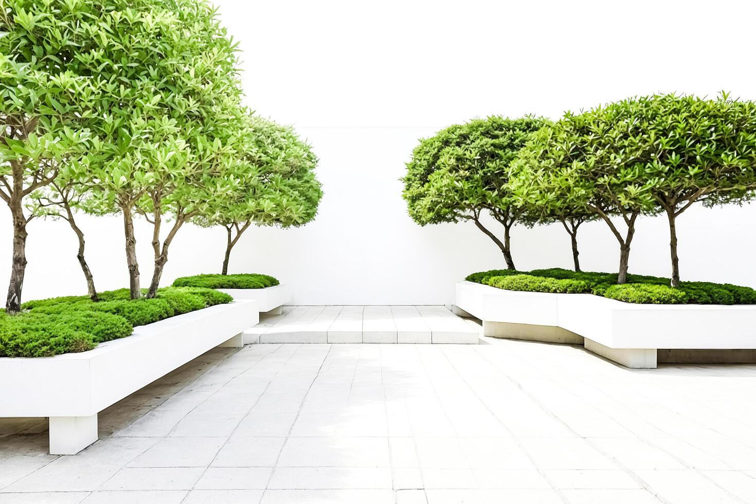 Minimalist Green Trees and White Concrete Planter in Modern Garden photo