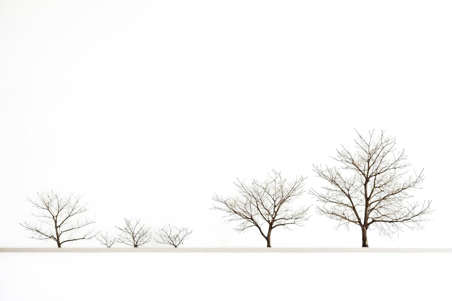 Minimalist Winter Trees photo