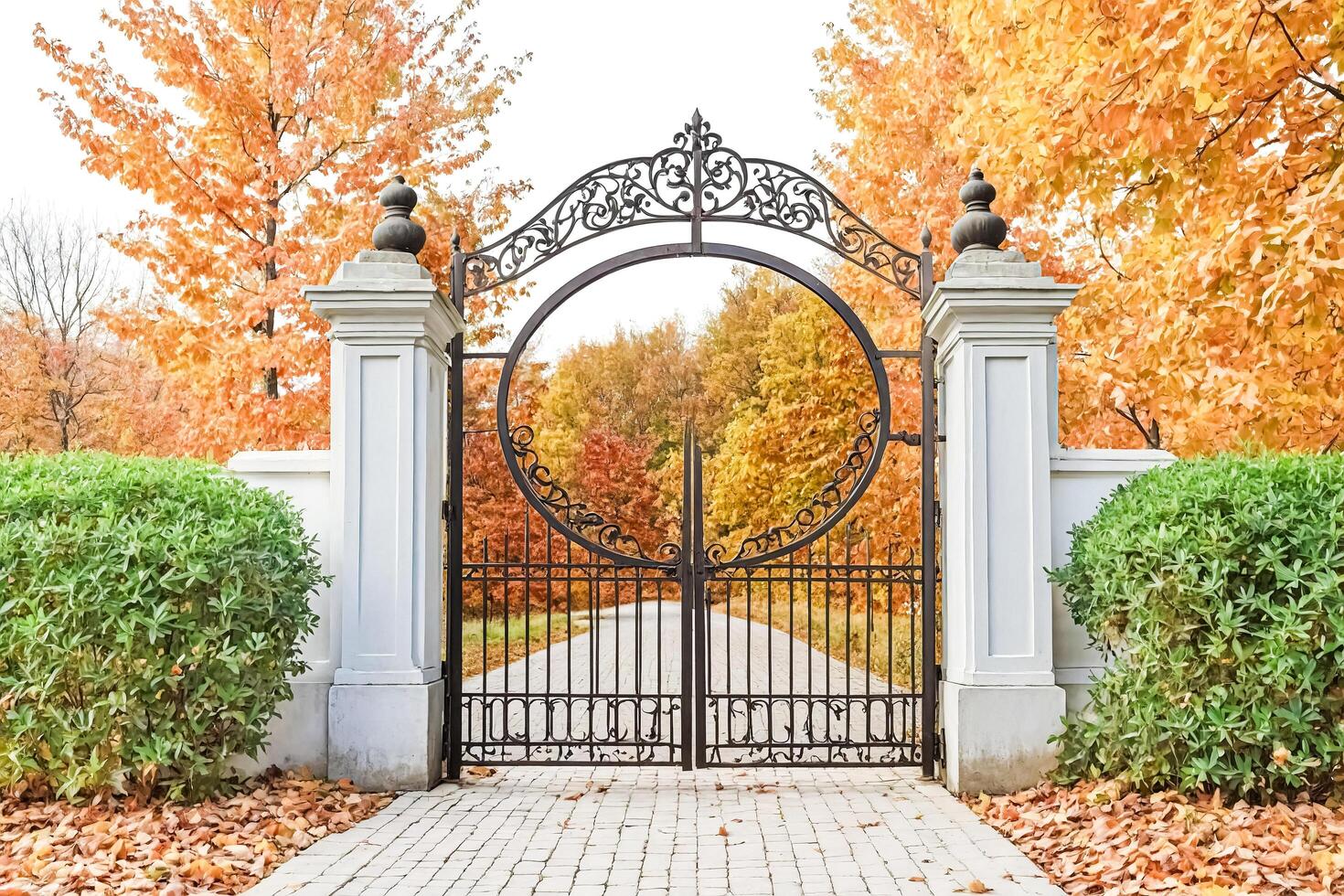 Ornate Iron Gate with Autumn Foliage photo