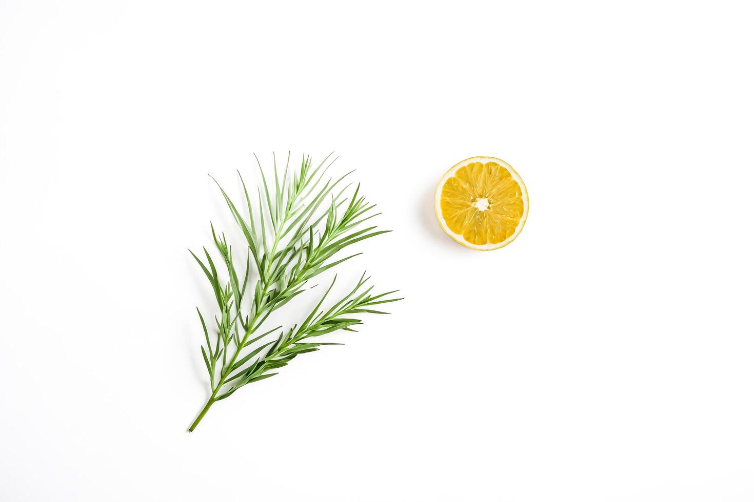 Lemon and Green Sprig on White Background photo