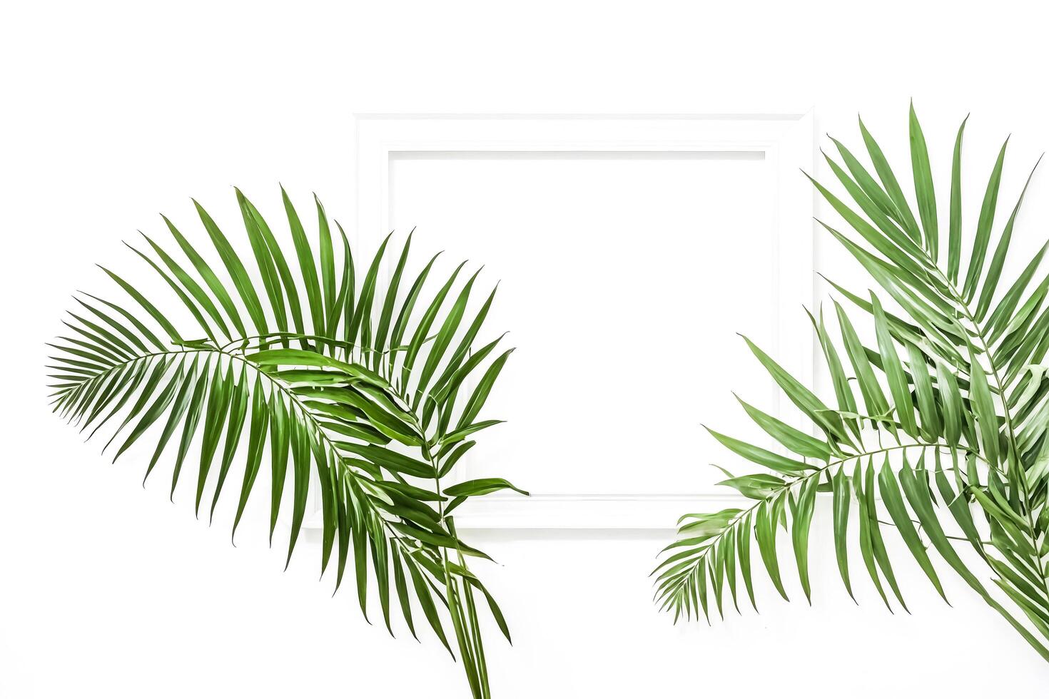 White Frame With Green Palm Leaves photo