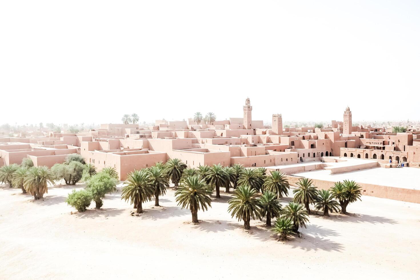 Desert Oasis with Palm Trees and Mudbrick Buildings photo