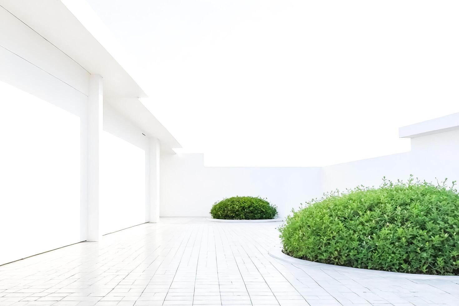 Minimalist White Architecture with Green Bushes photo